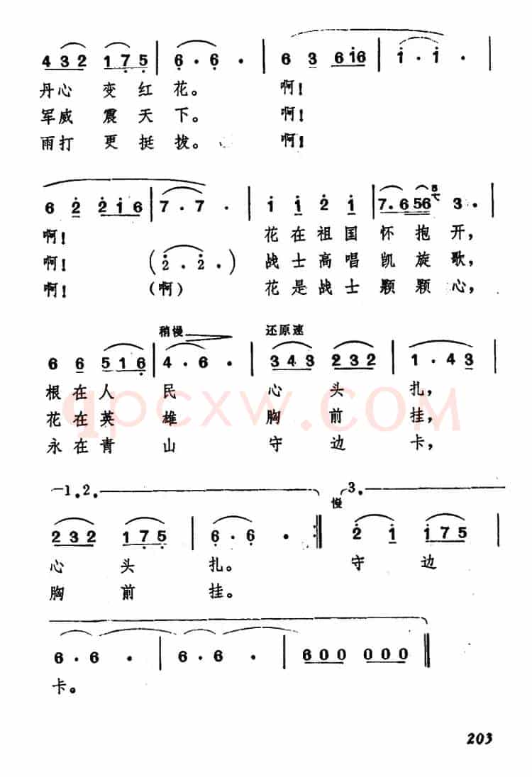 红花