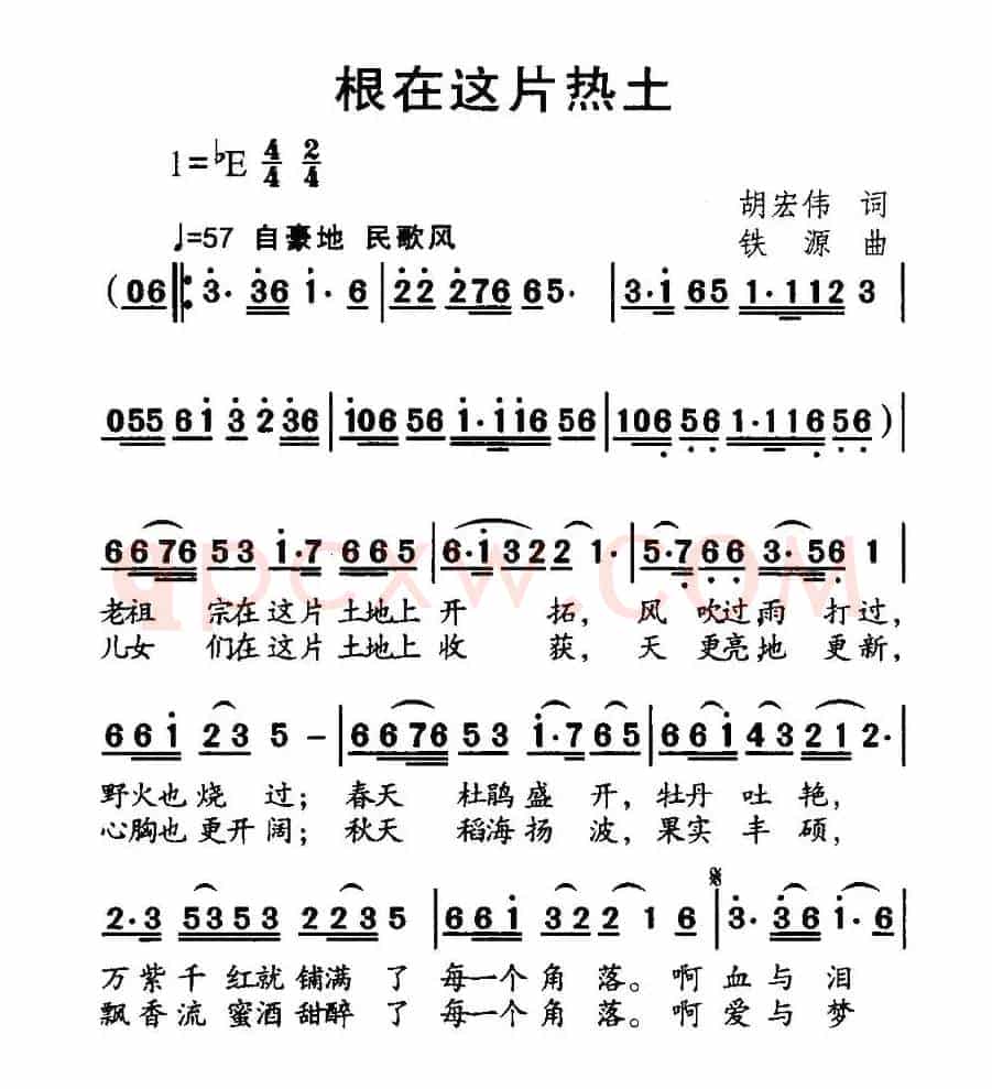 根在这片热土