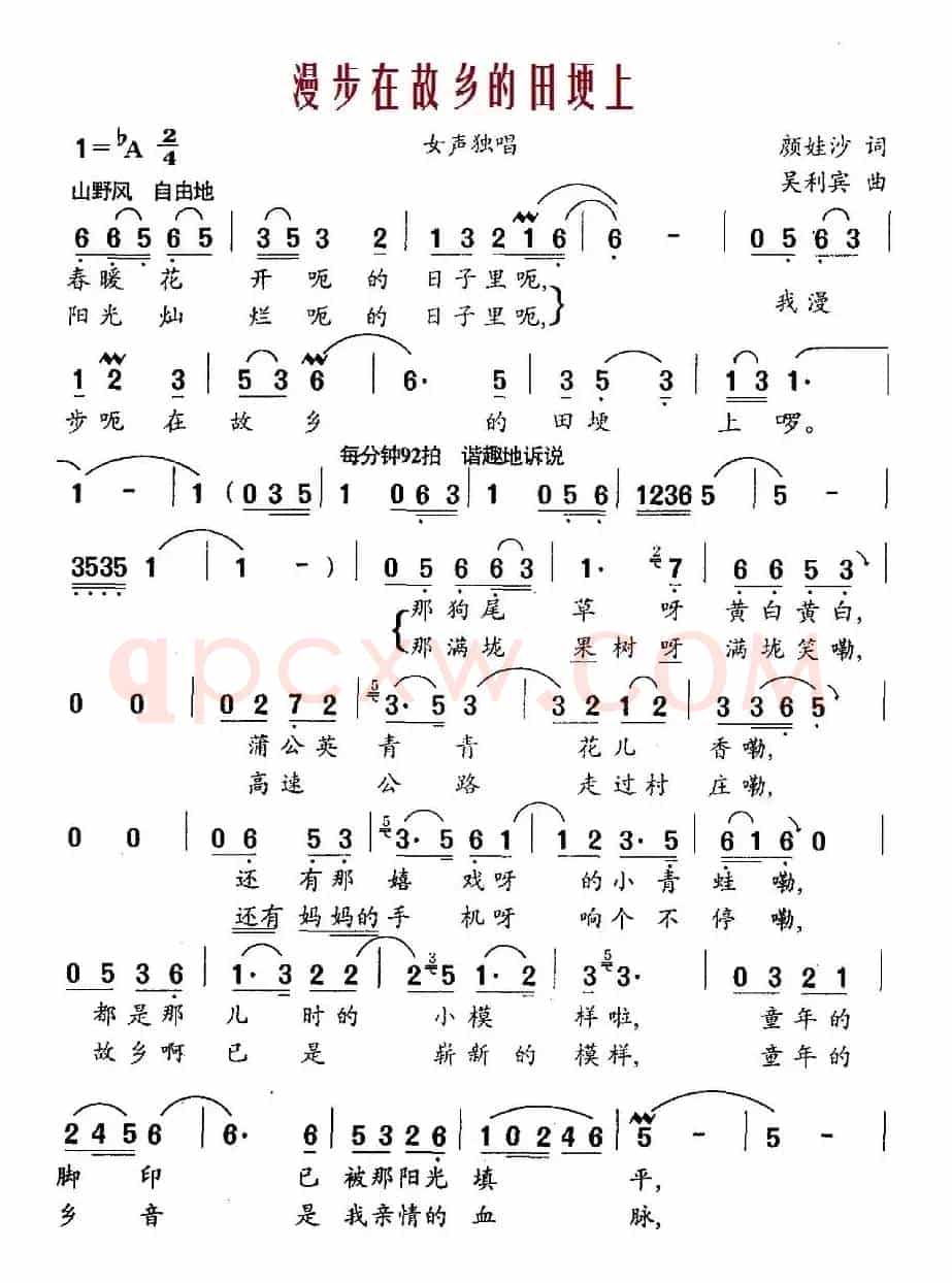 漫步在故乡的田埂上