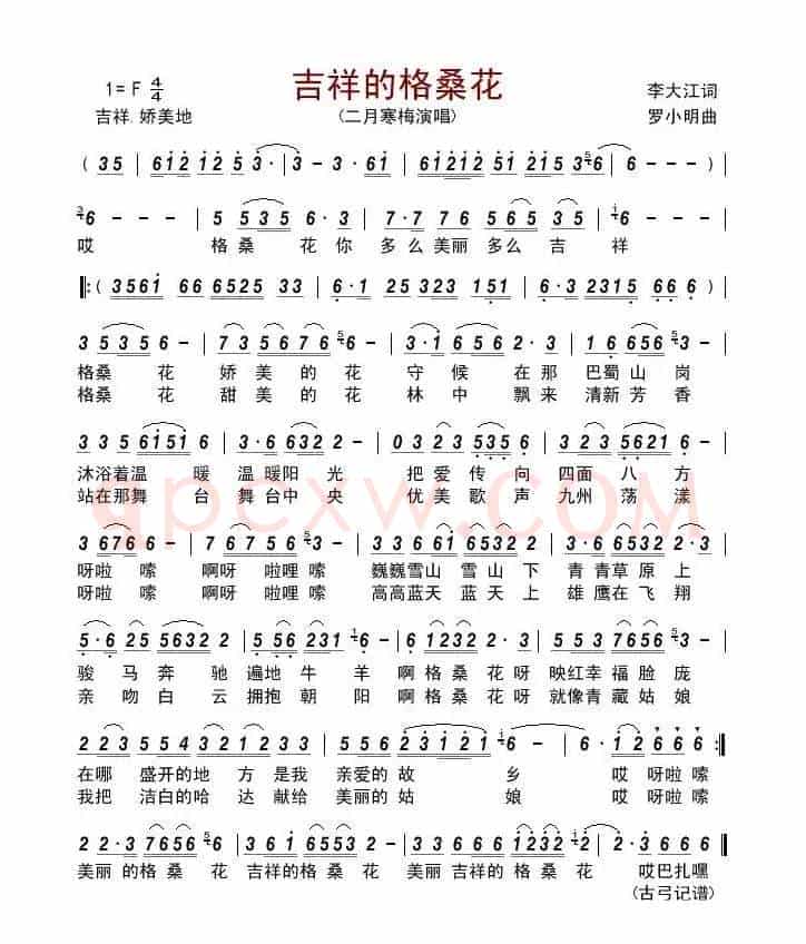 吉祥的格桑花