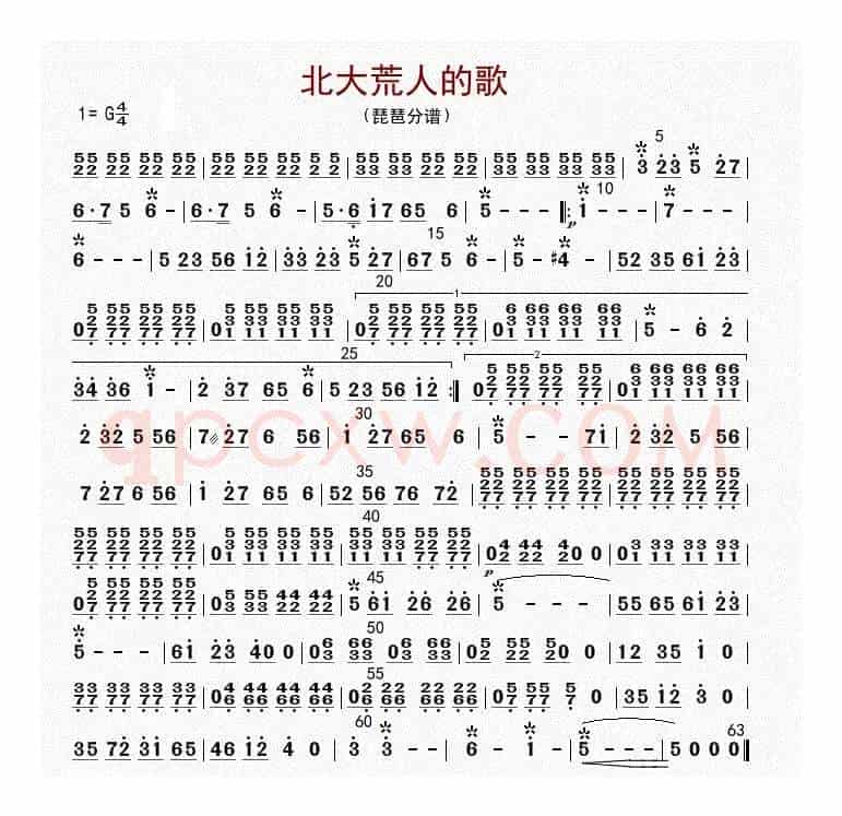 北大荒人的歌（琵琶分谱）