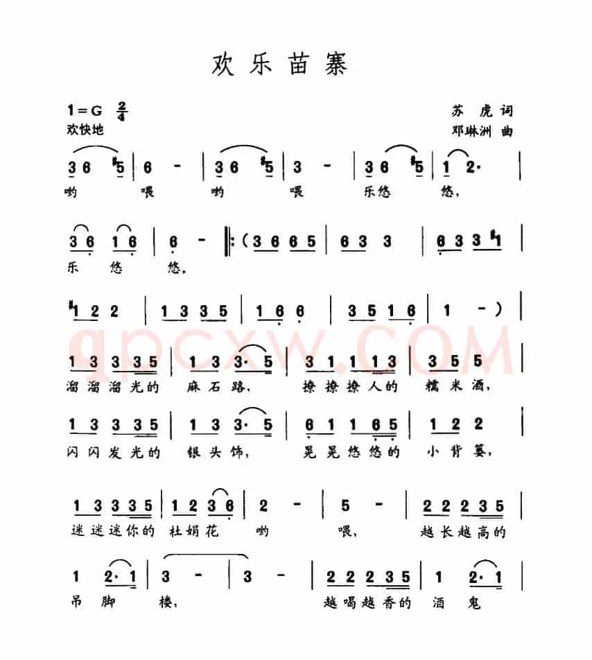 欢乐苗寨