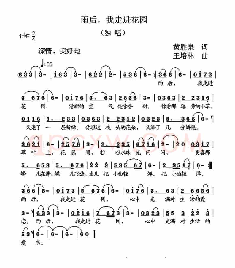 雨后，我走进花园