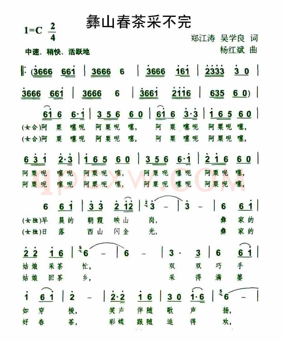 彝山春茶采不完