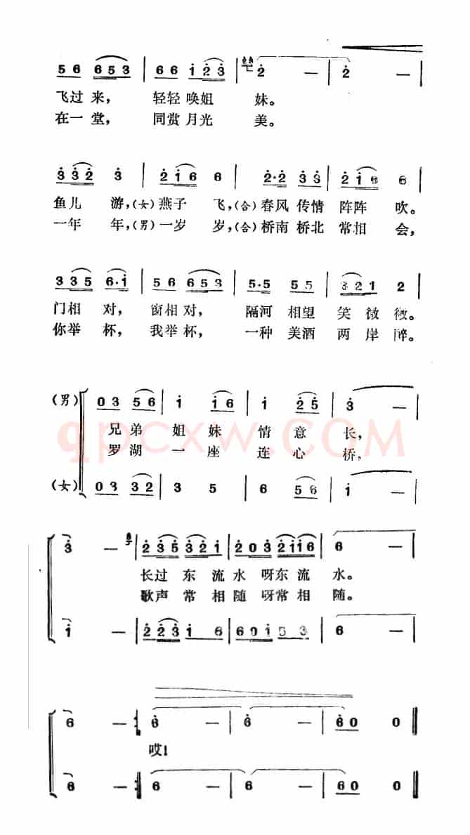 罗湖一座连心桥