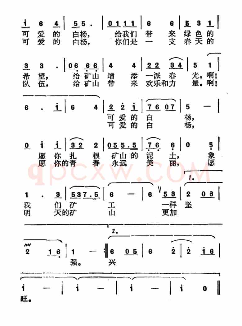 矿山的白杨树