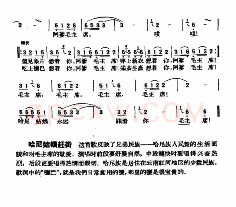 哈尼姑娘赶街