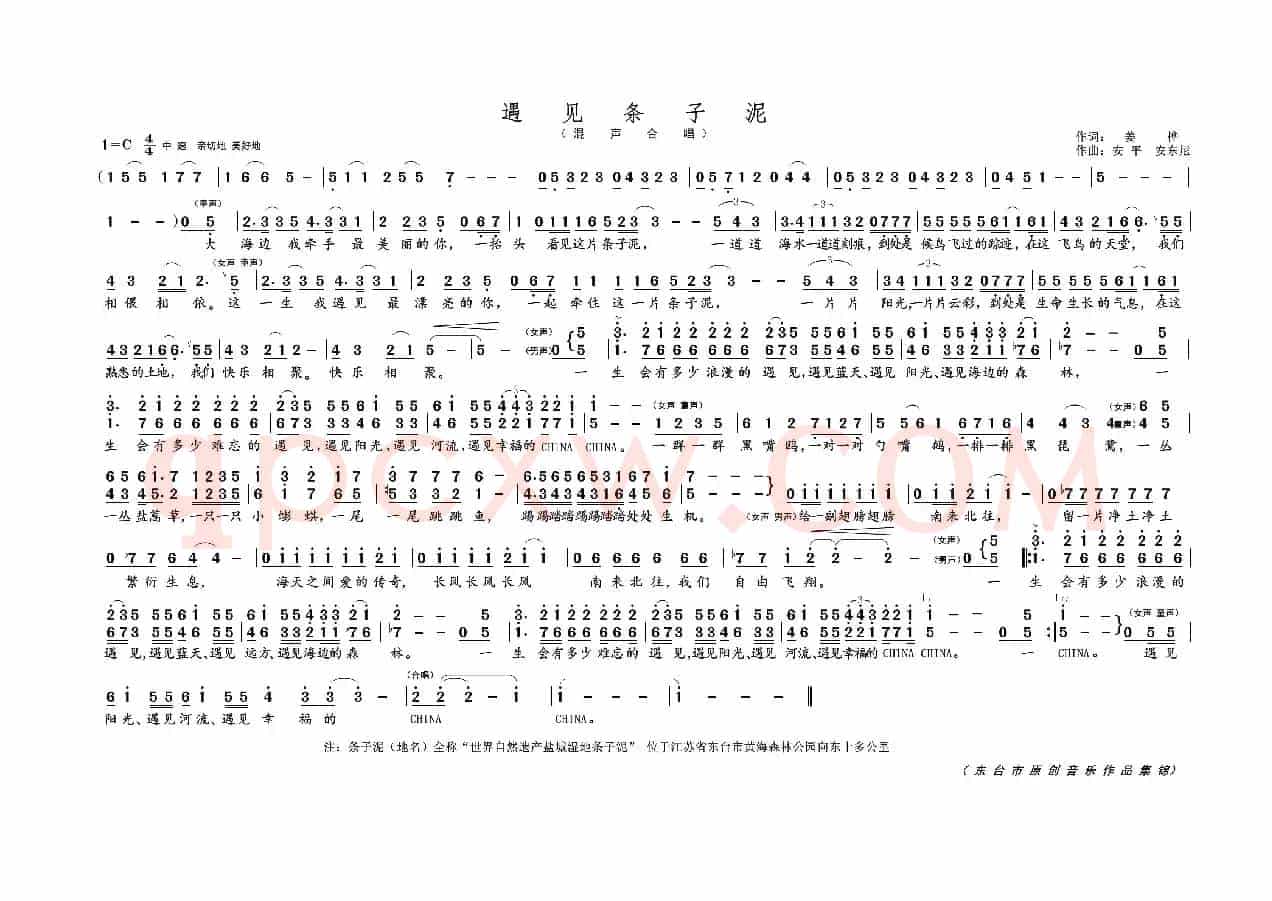 遇见条子泥