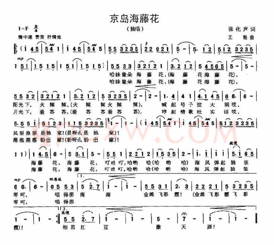 京岛海藤花