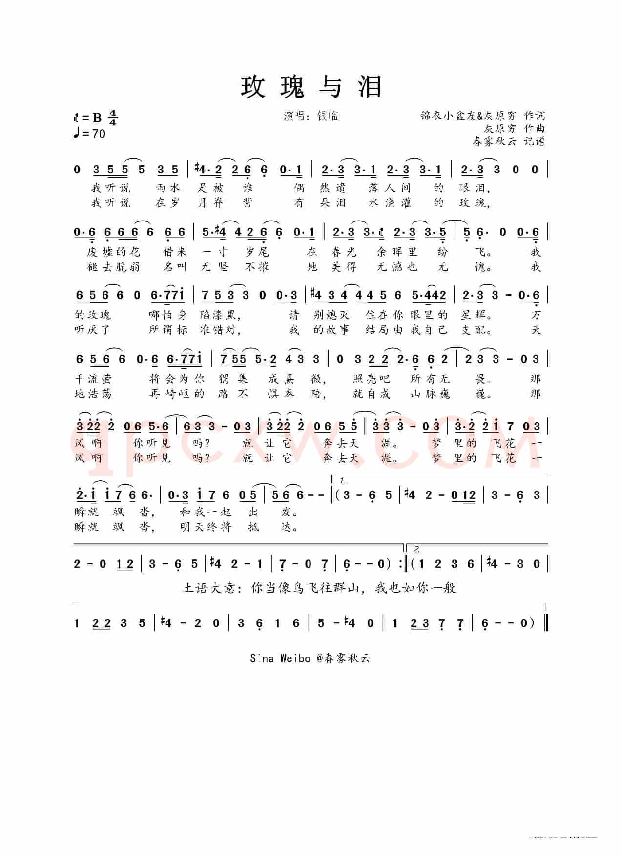 玫瑰与泪