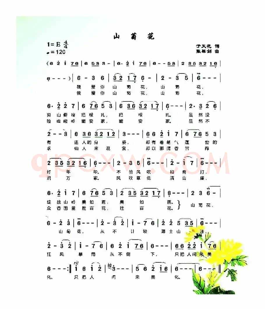 山菊花(于天花词 张犀剑曲)