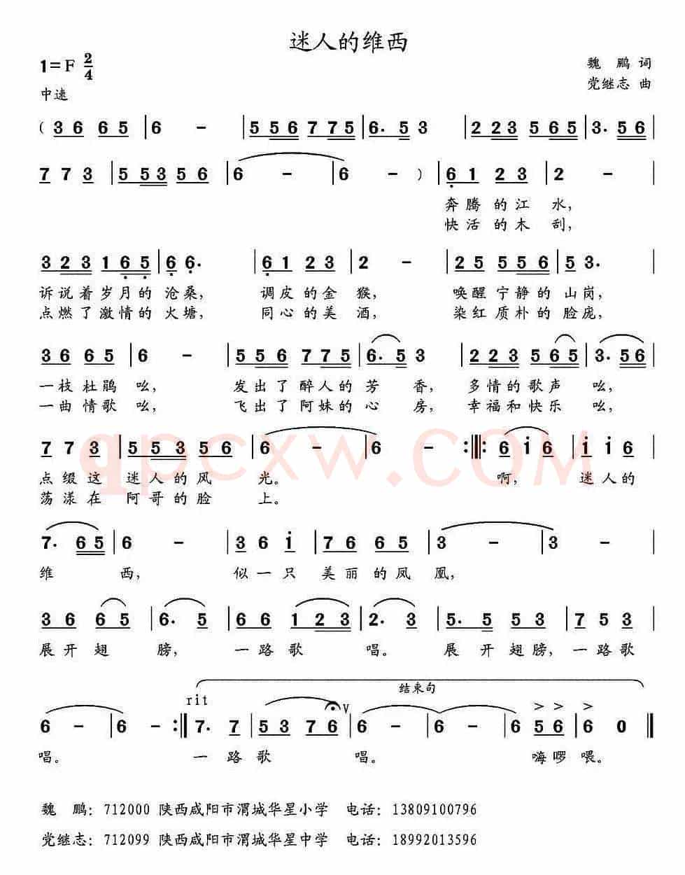 迷人的维西
