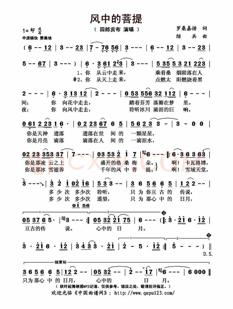 风中的菩提