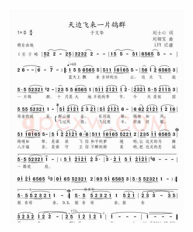 天边飞来一片鸽群
