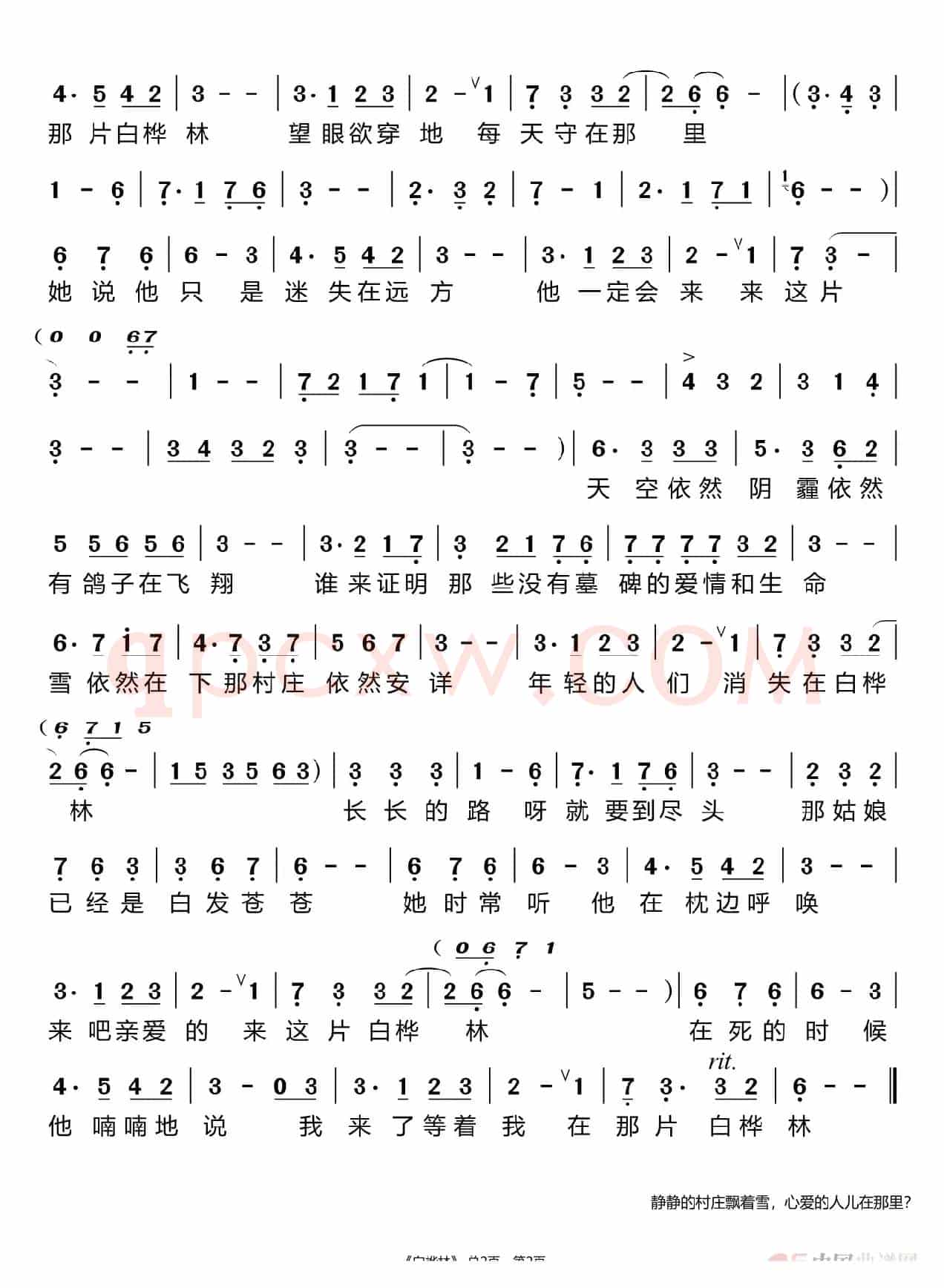 白桦林（王彦霖）
