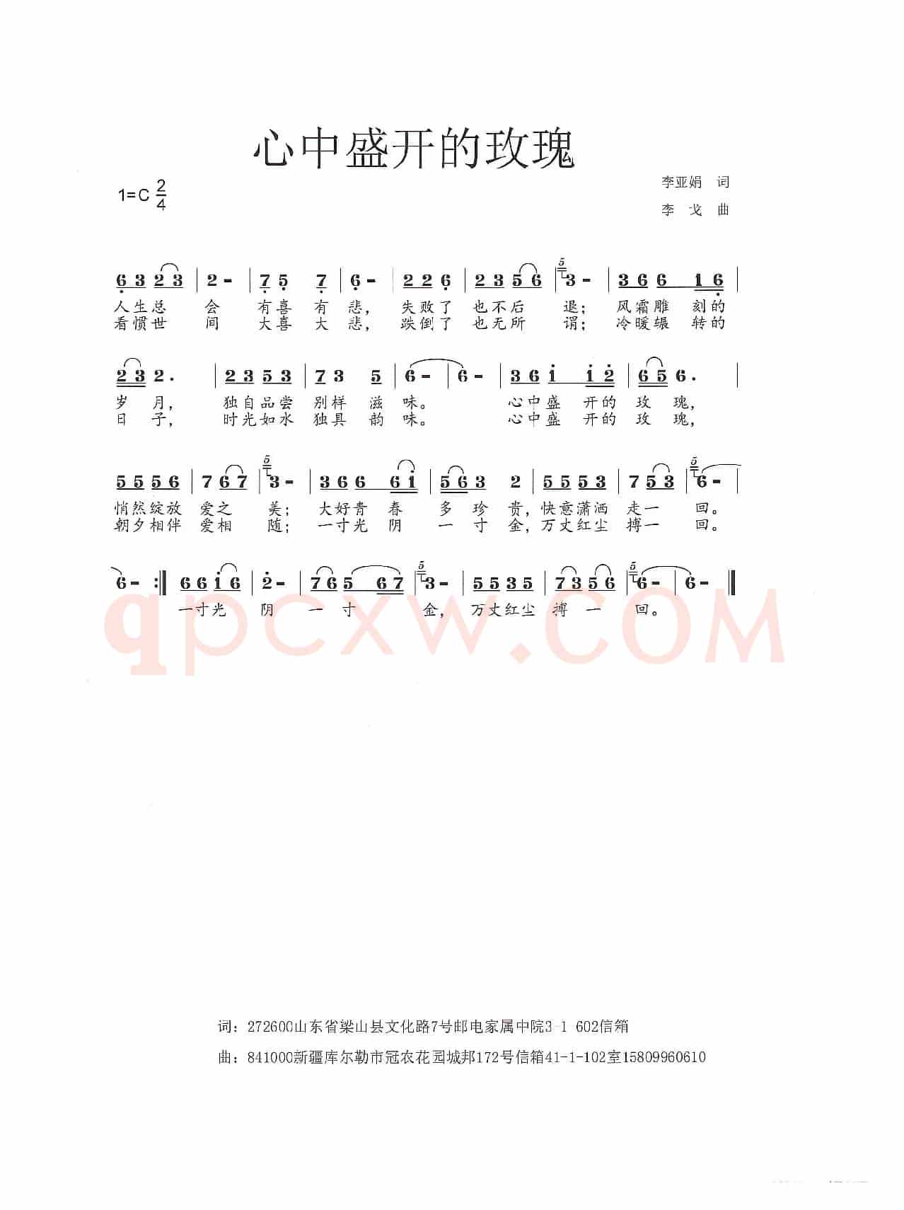 心中盛开的玫瑰