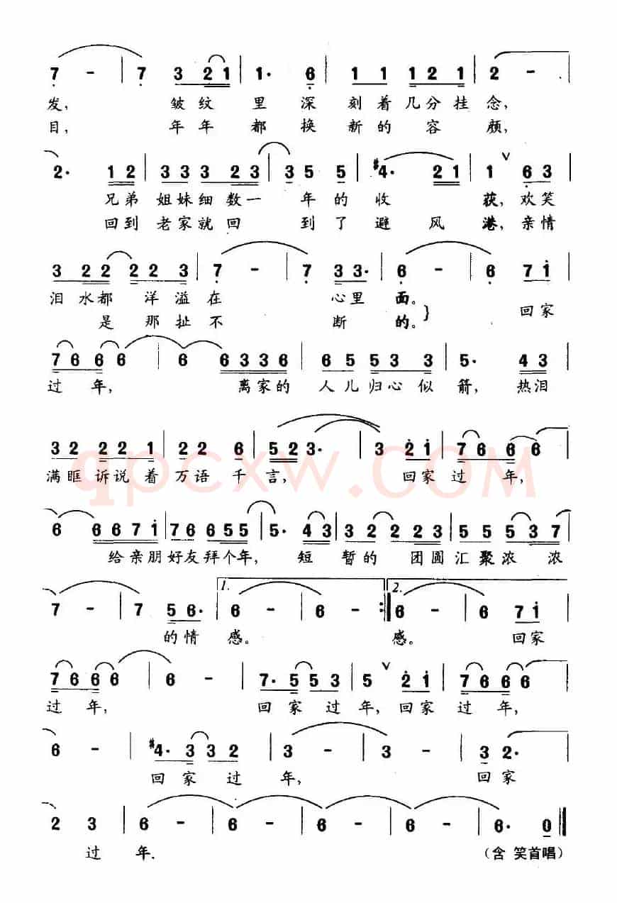 回家过年（孙义勇词 董兴东曲）