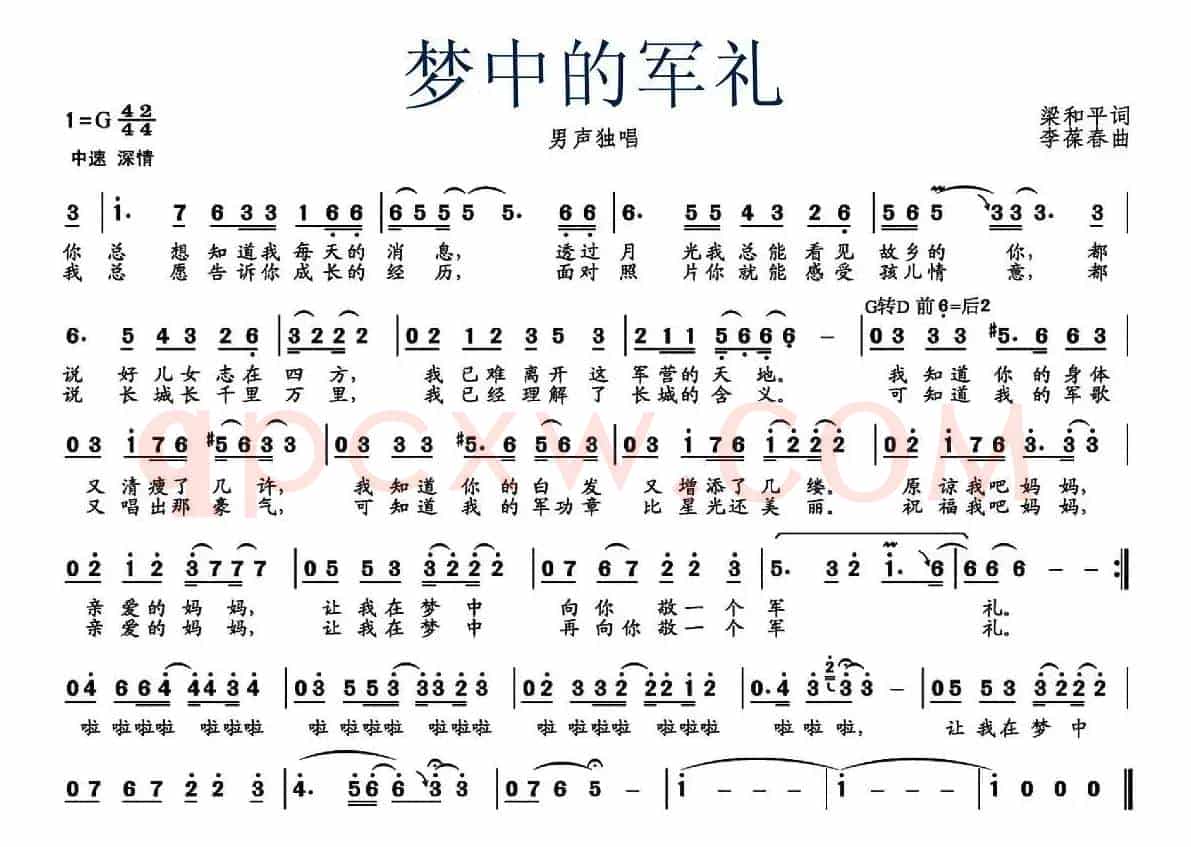 梦中的军礼