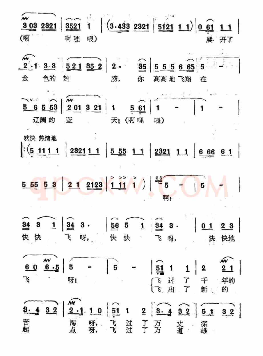 飞翔吧，凉山