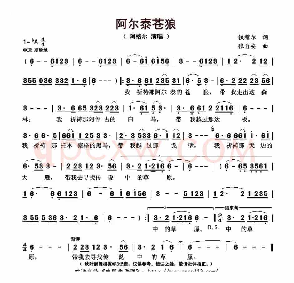 阿尔泰苍狼