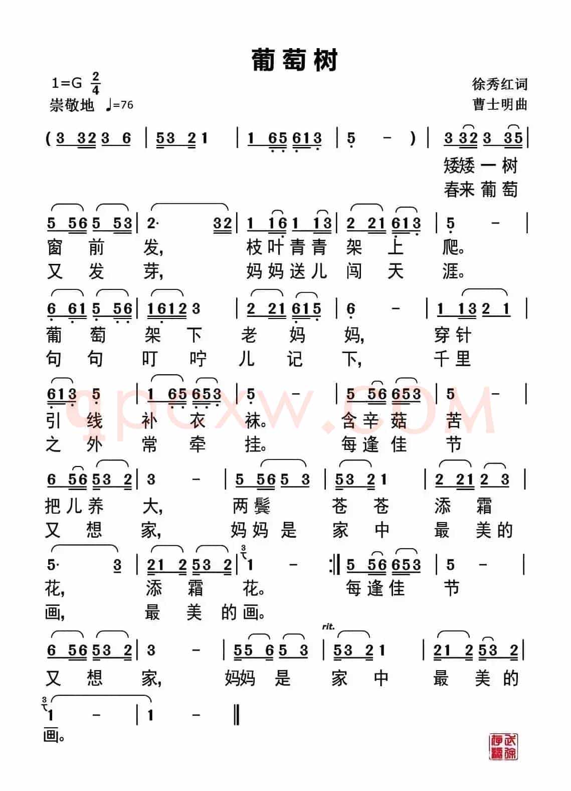 葡萄树