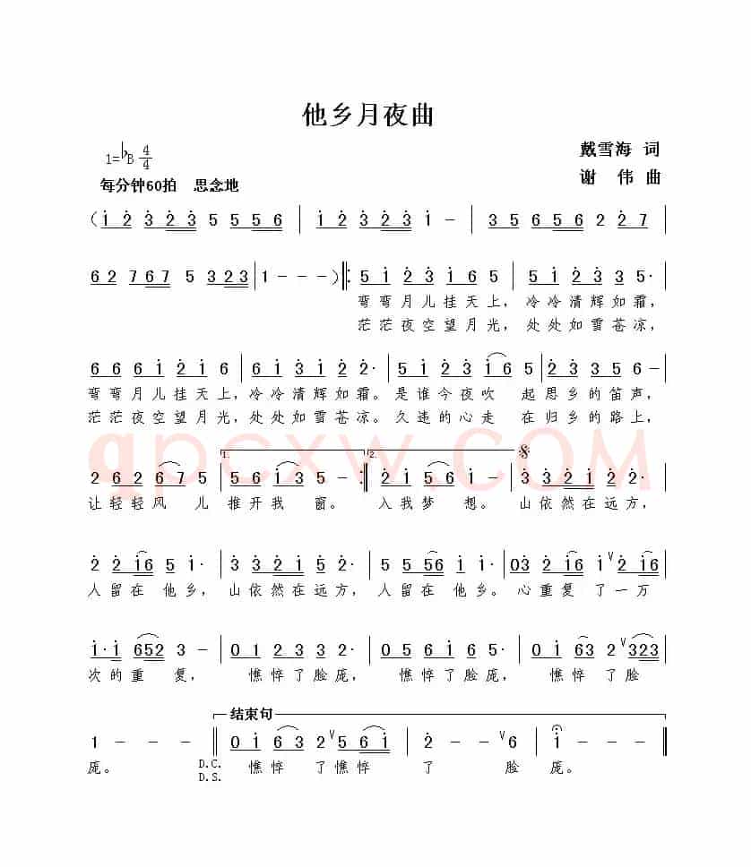 他乡月夜曲