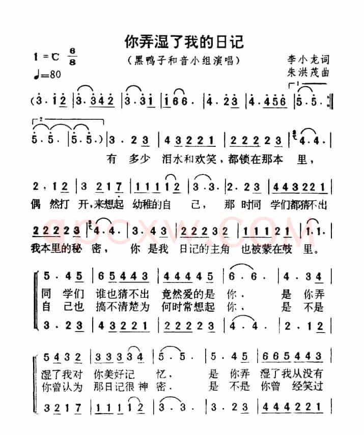 你弄湿了我的日记（黑鸭子组合）