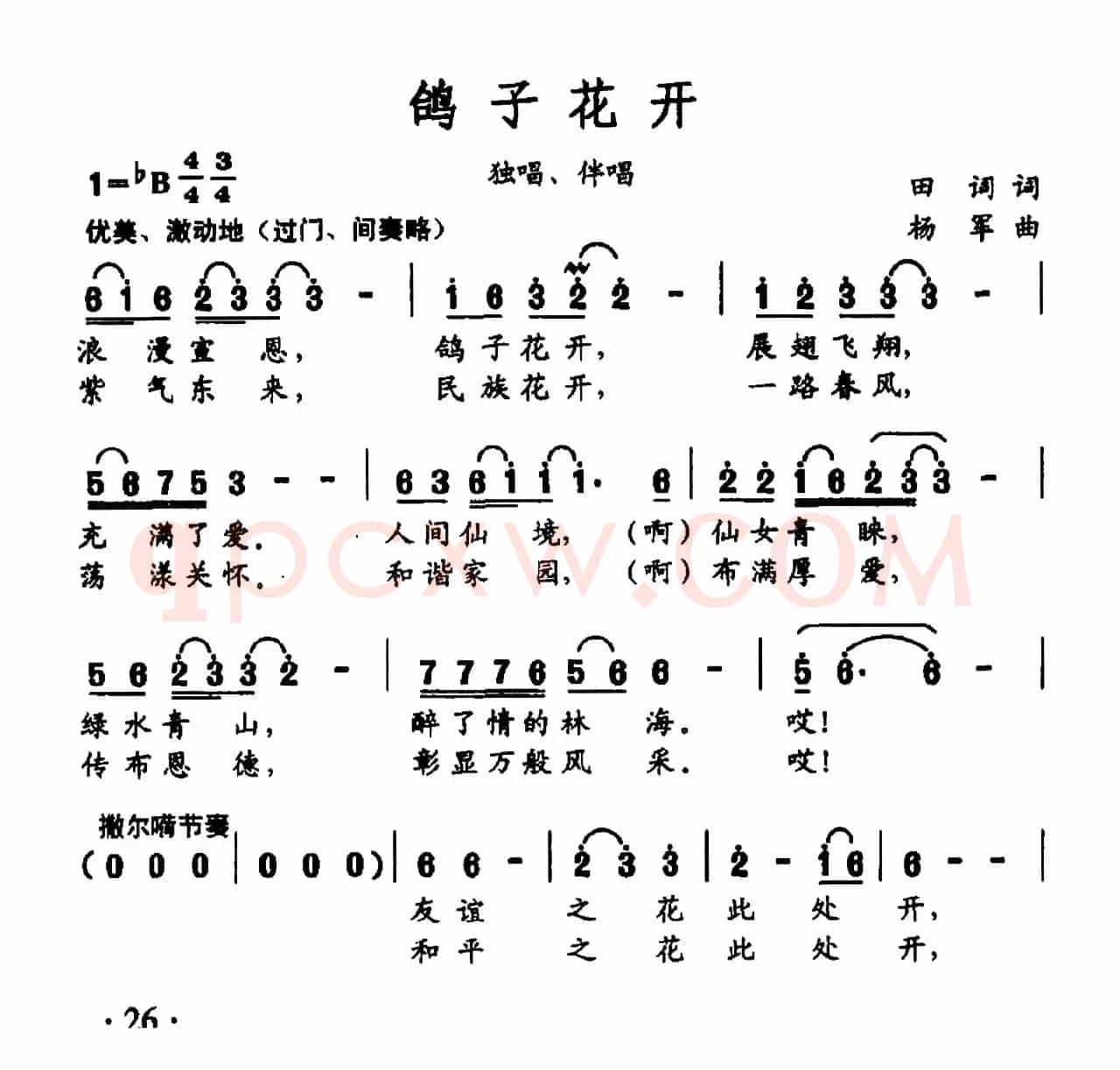 鸽子花开（田词词 杨军曲）