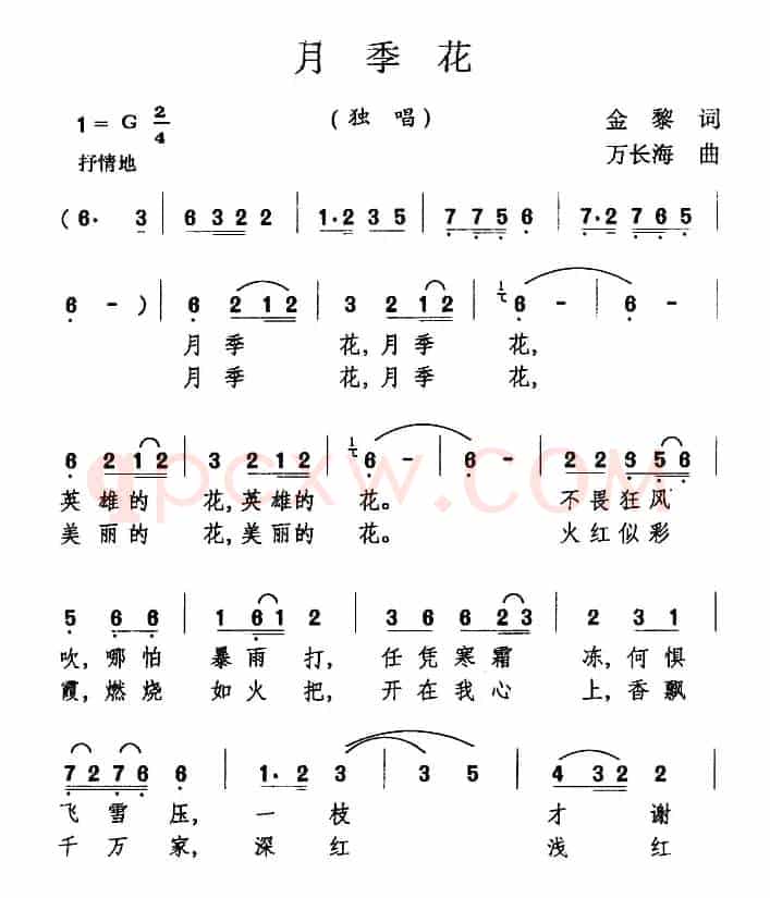 月季花（金黎词 万长海曲）