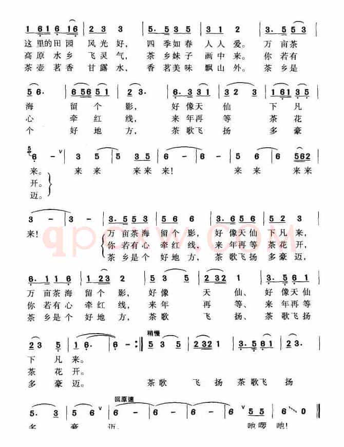 欢迎你到茶乡来