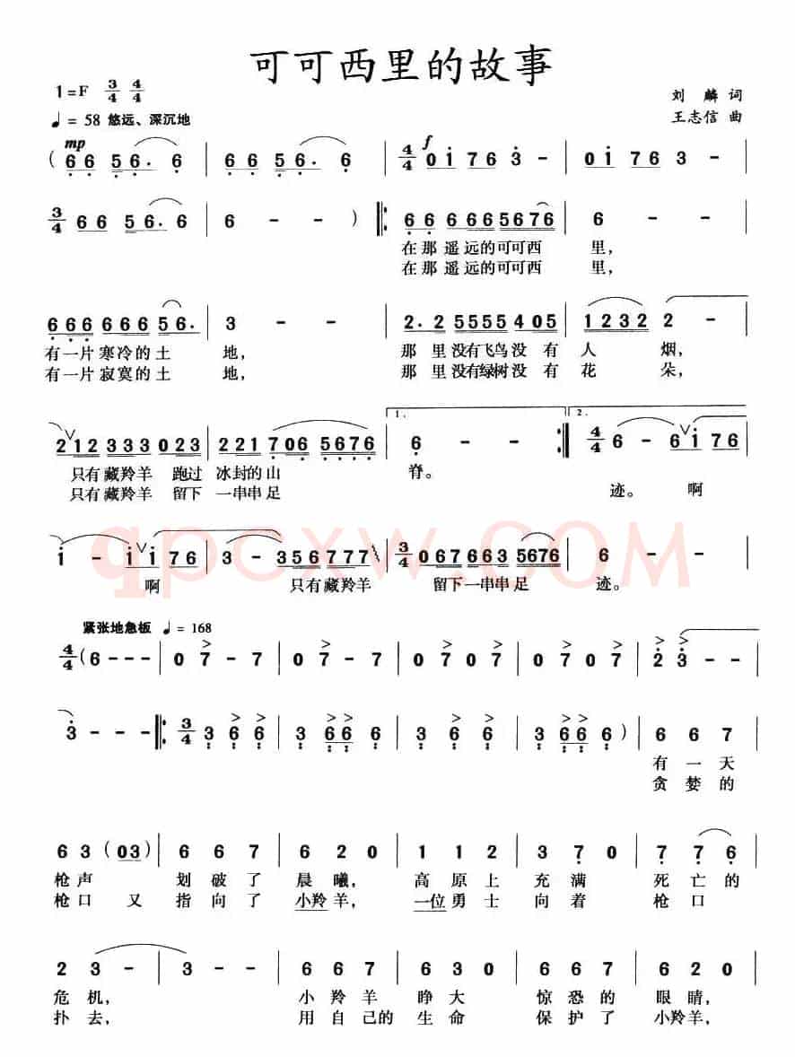 可可西里的故事