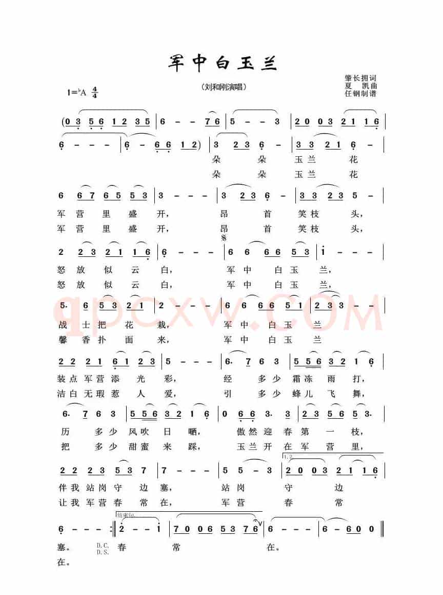军旅歌曲100首：军中白玉兰