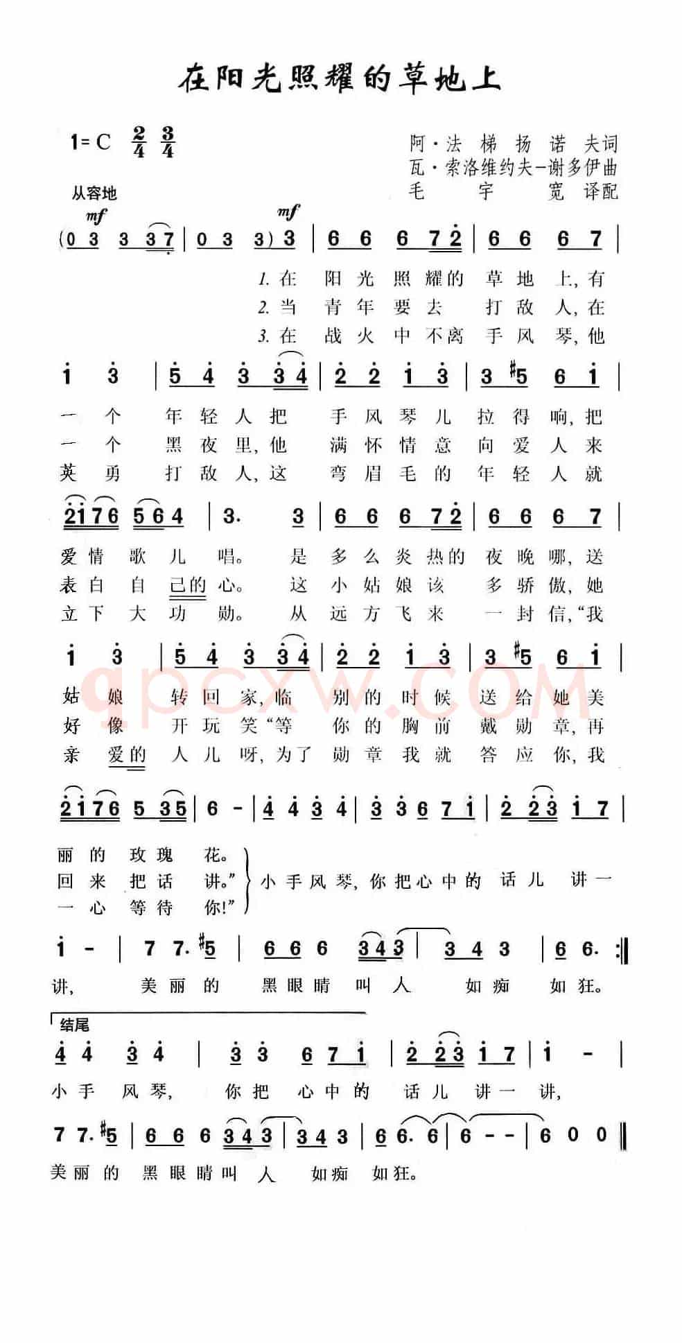在阳光照耀的草地上