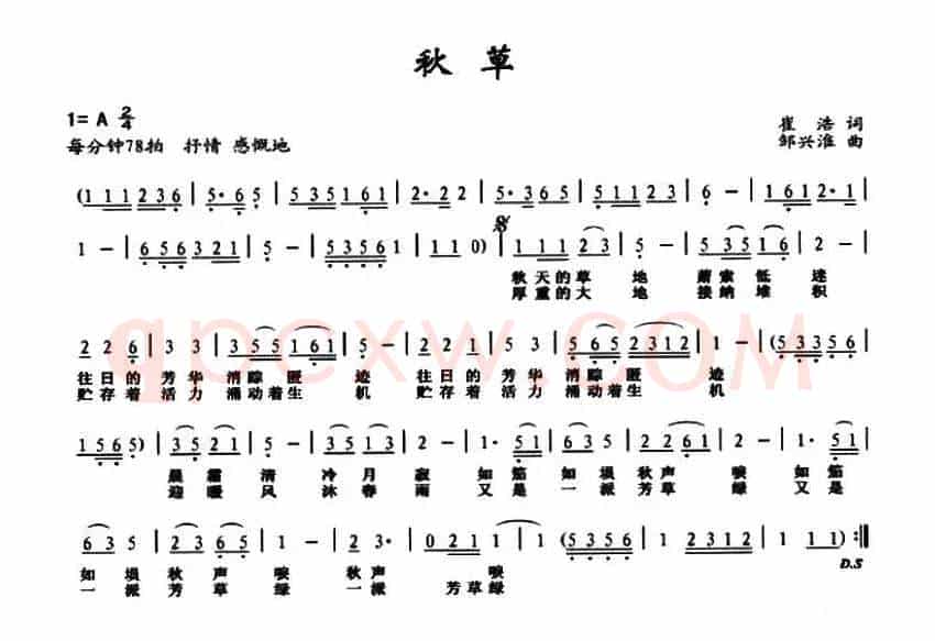 秋草