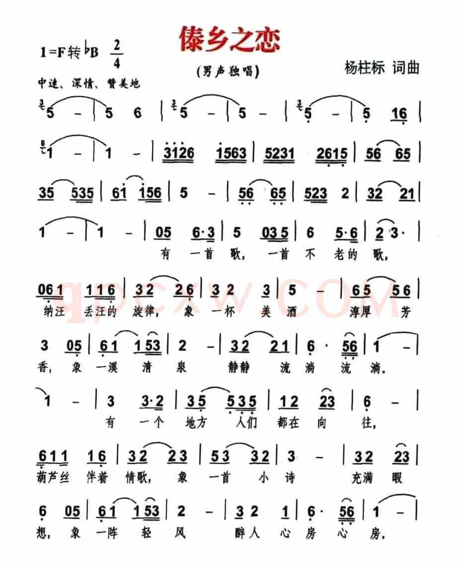 傣乡之恋