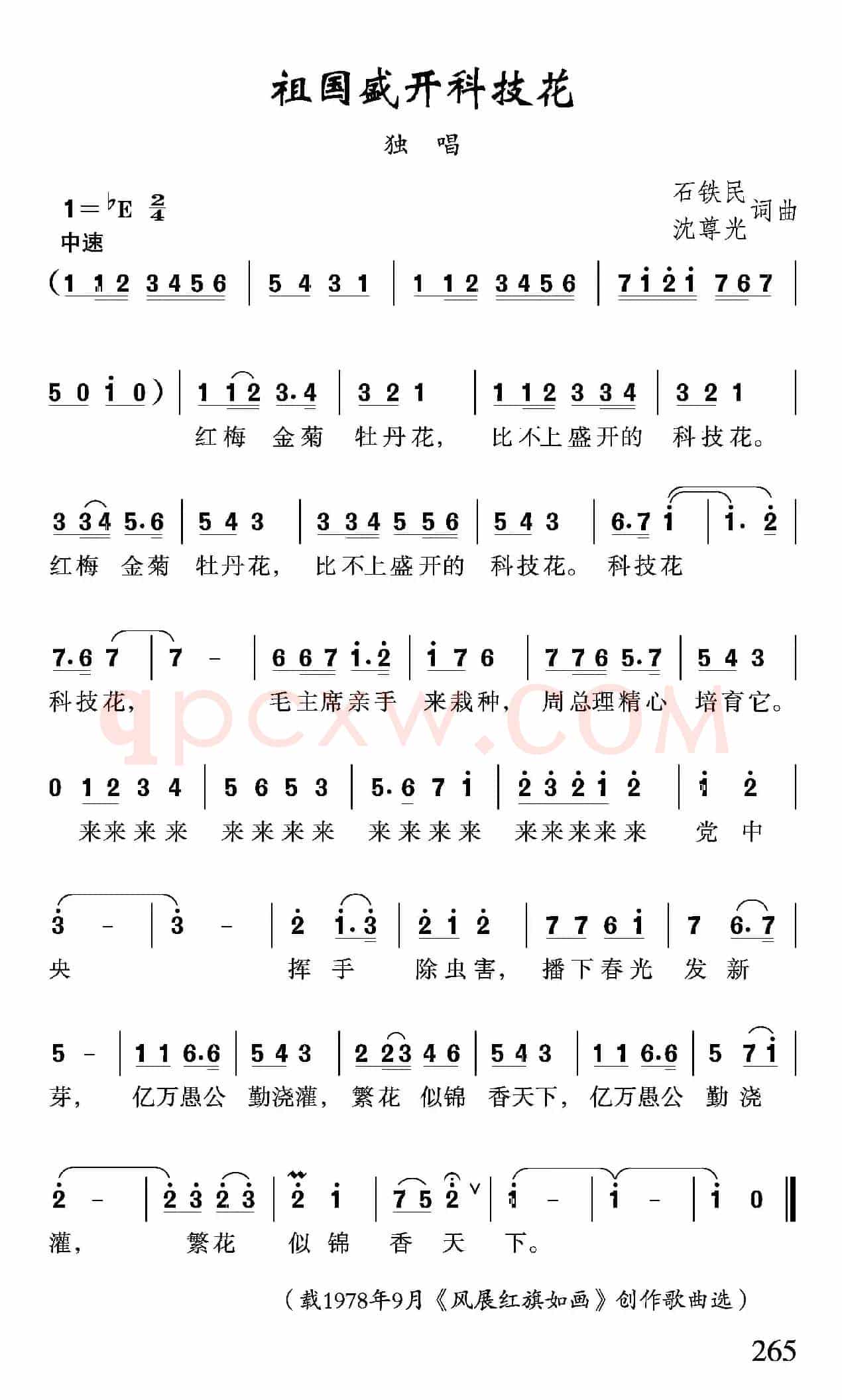 祖国盛开科技花