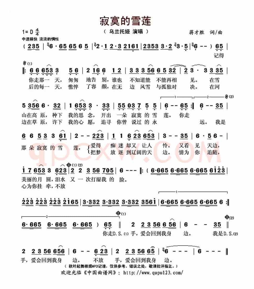 寂寞的雪莲