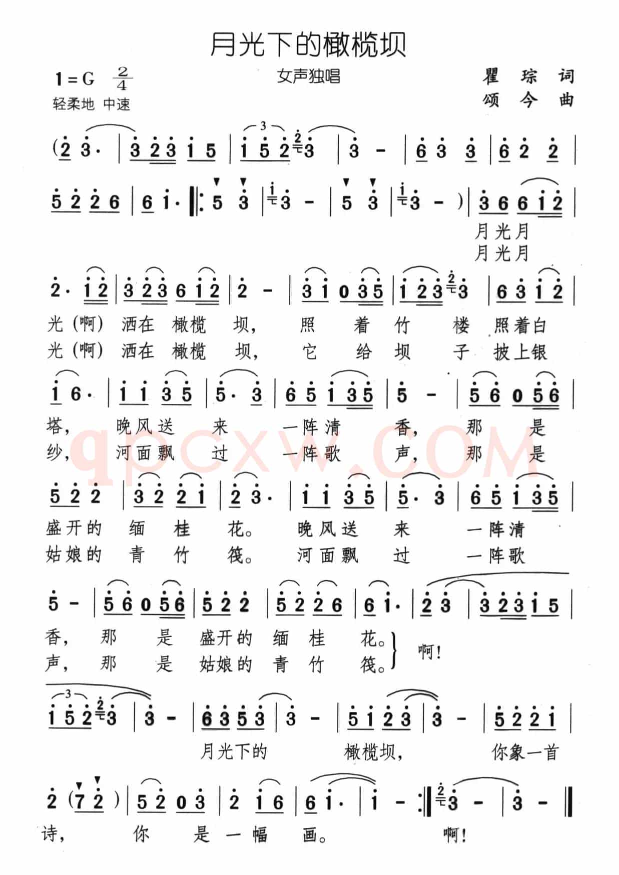 月光下的橄榄坝