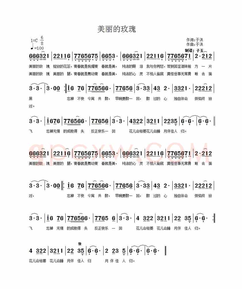美丽的玫瑰