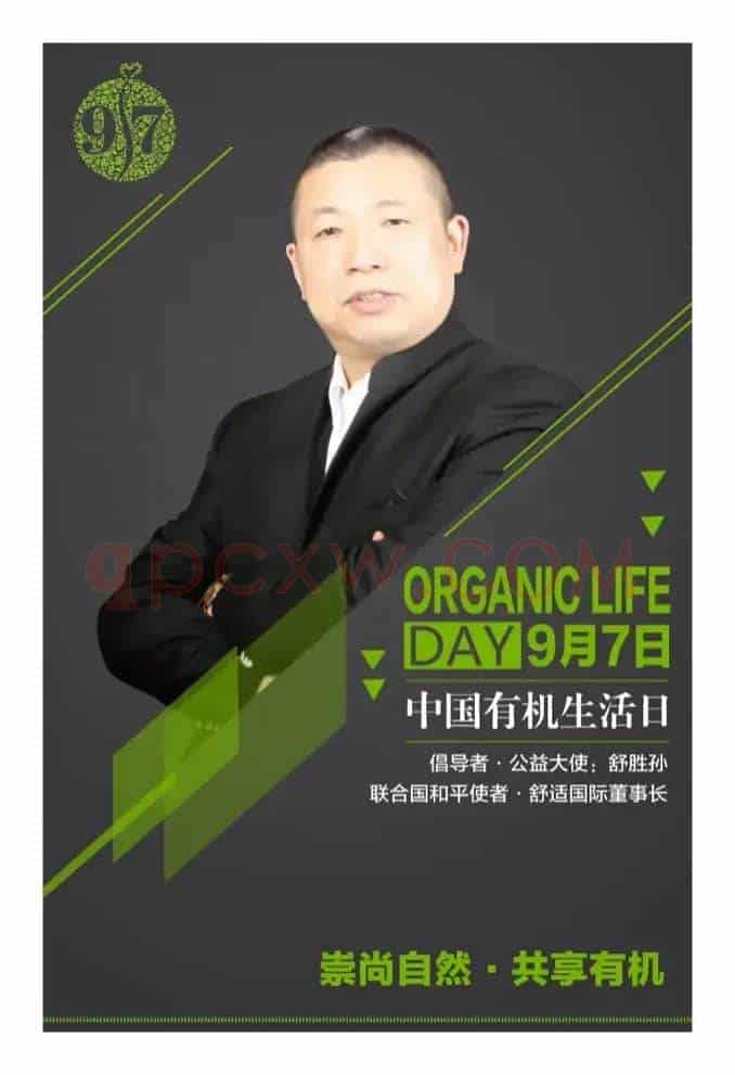 舒适集团之歌
