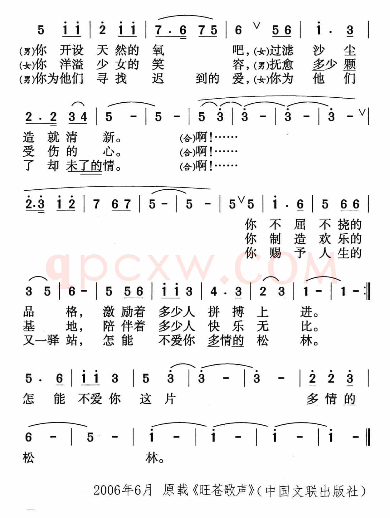 我爱你，多情的松林