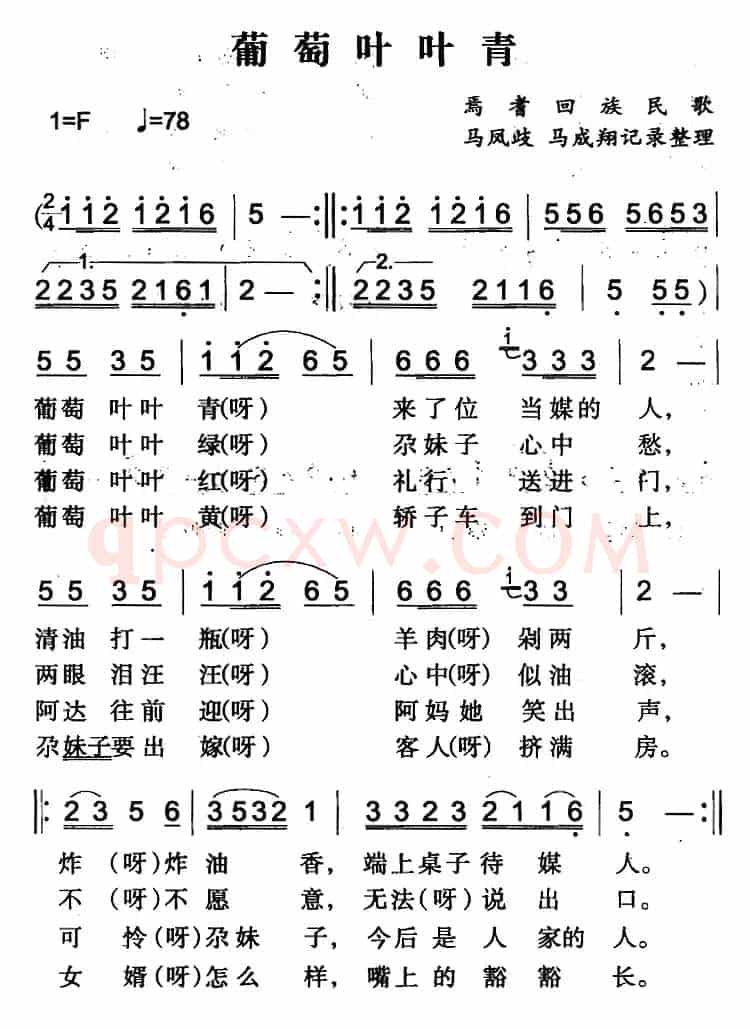 葡萄叶叶青（焉耆回族民歌）