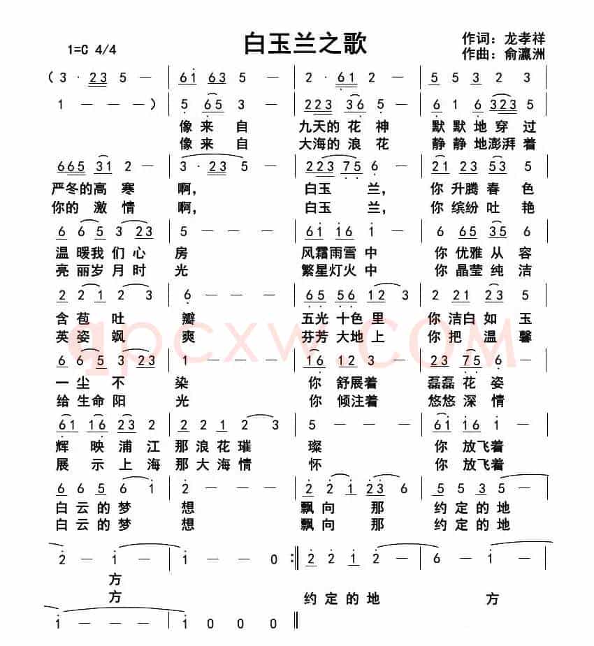 白玉兰之歌