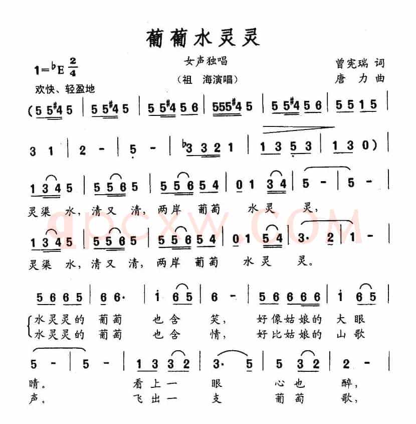葡萄水灵灵
