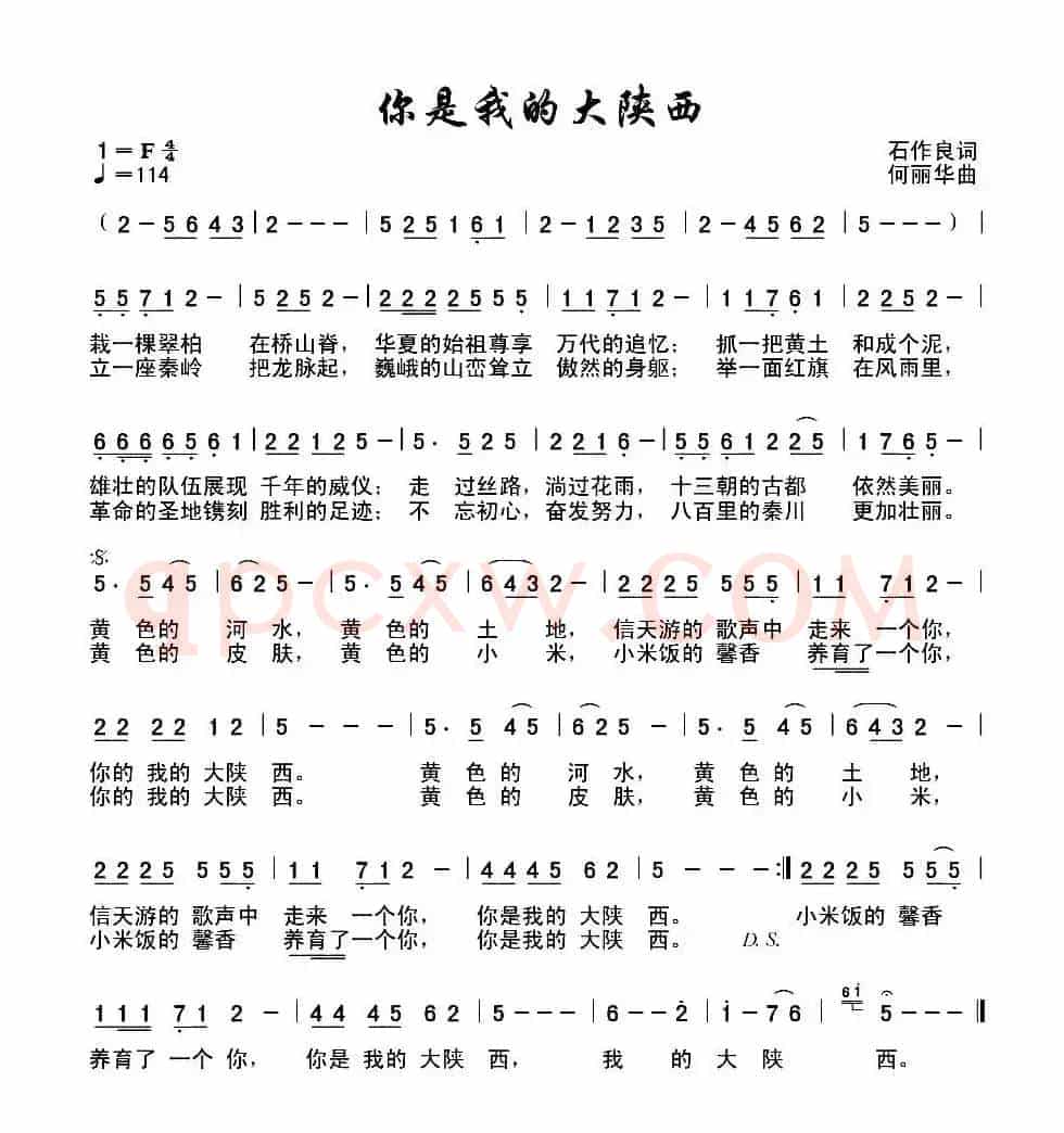 你是我的大陕西