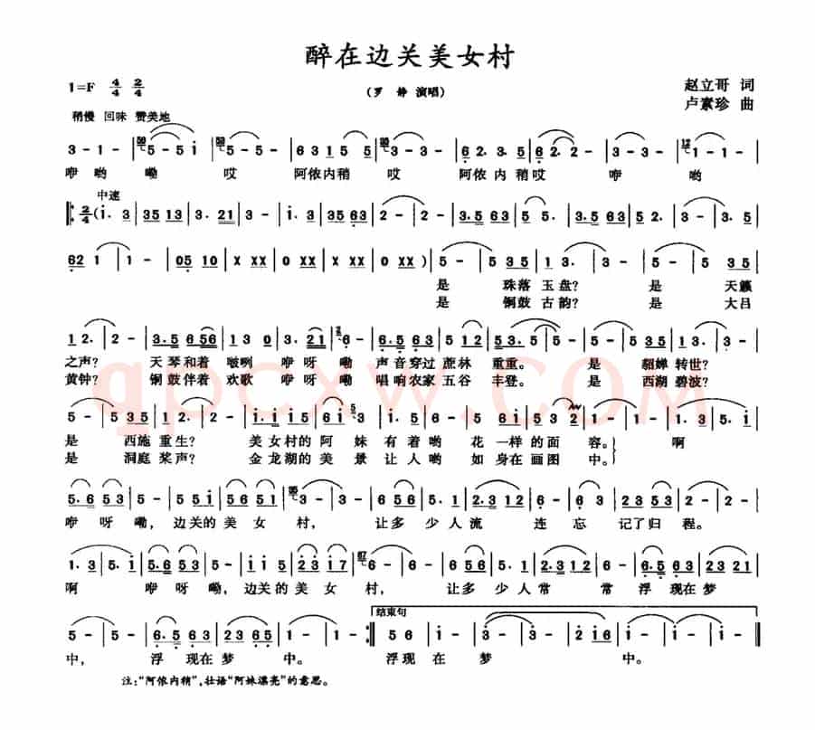 醉在边关美女村