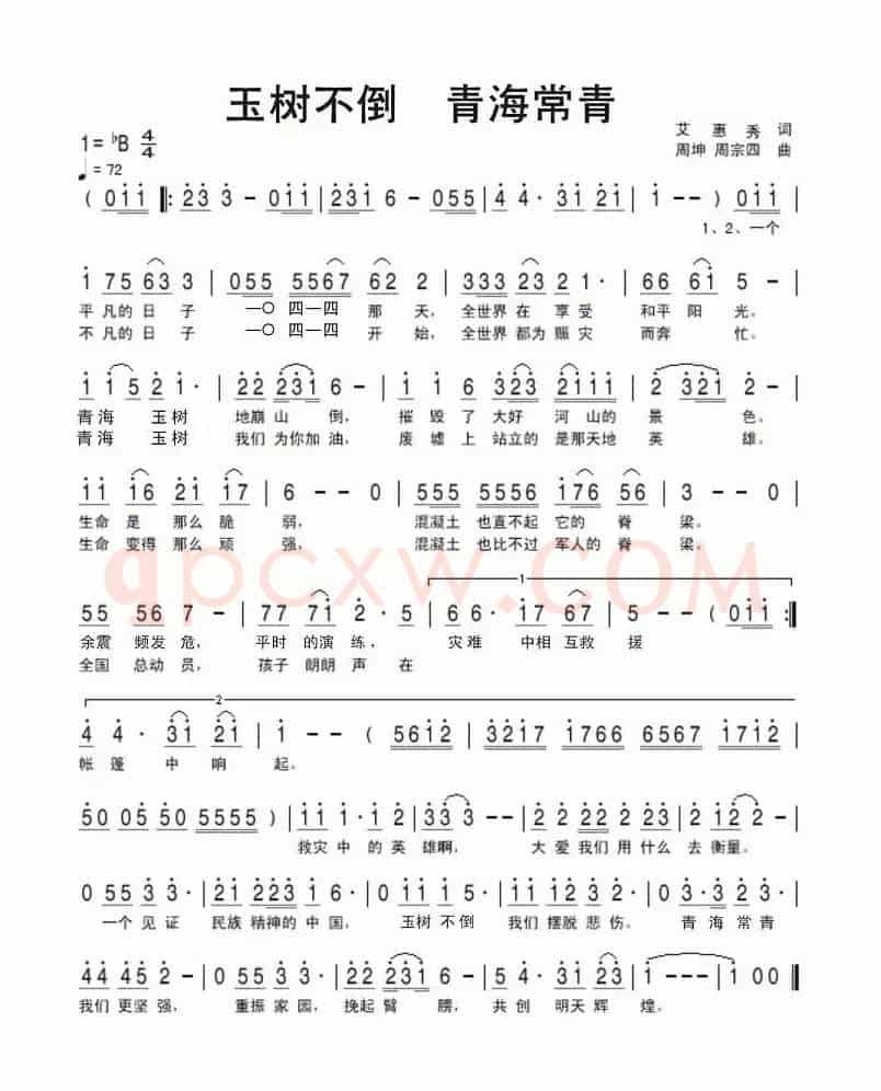 玉树不倒 青海常青