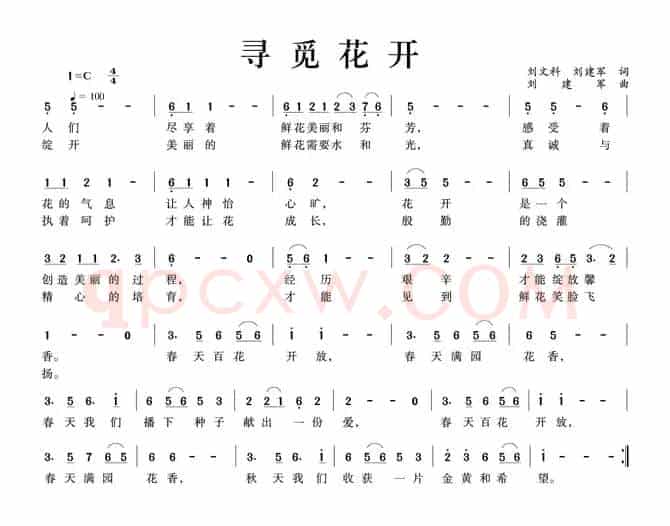 寻觅花开