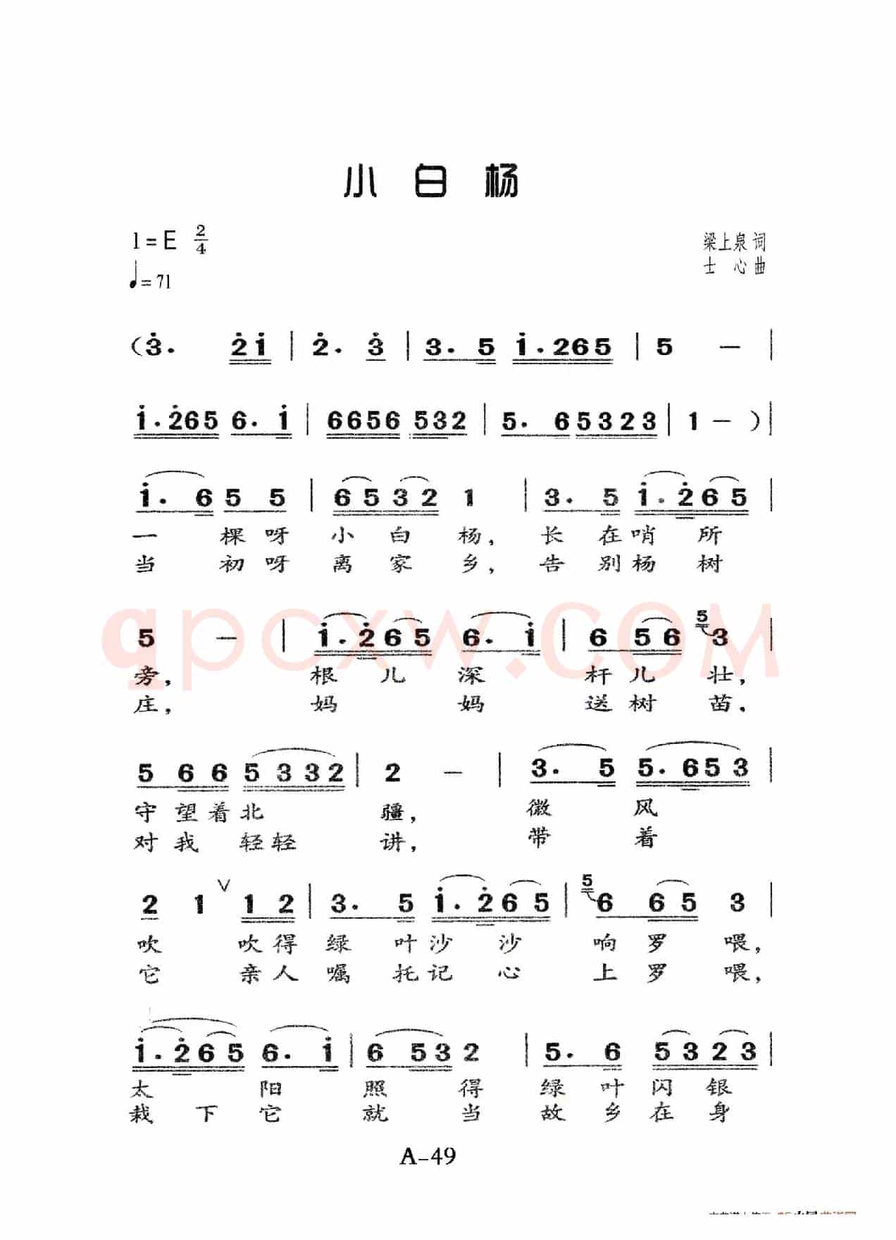 小白杨（老人适用）