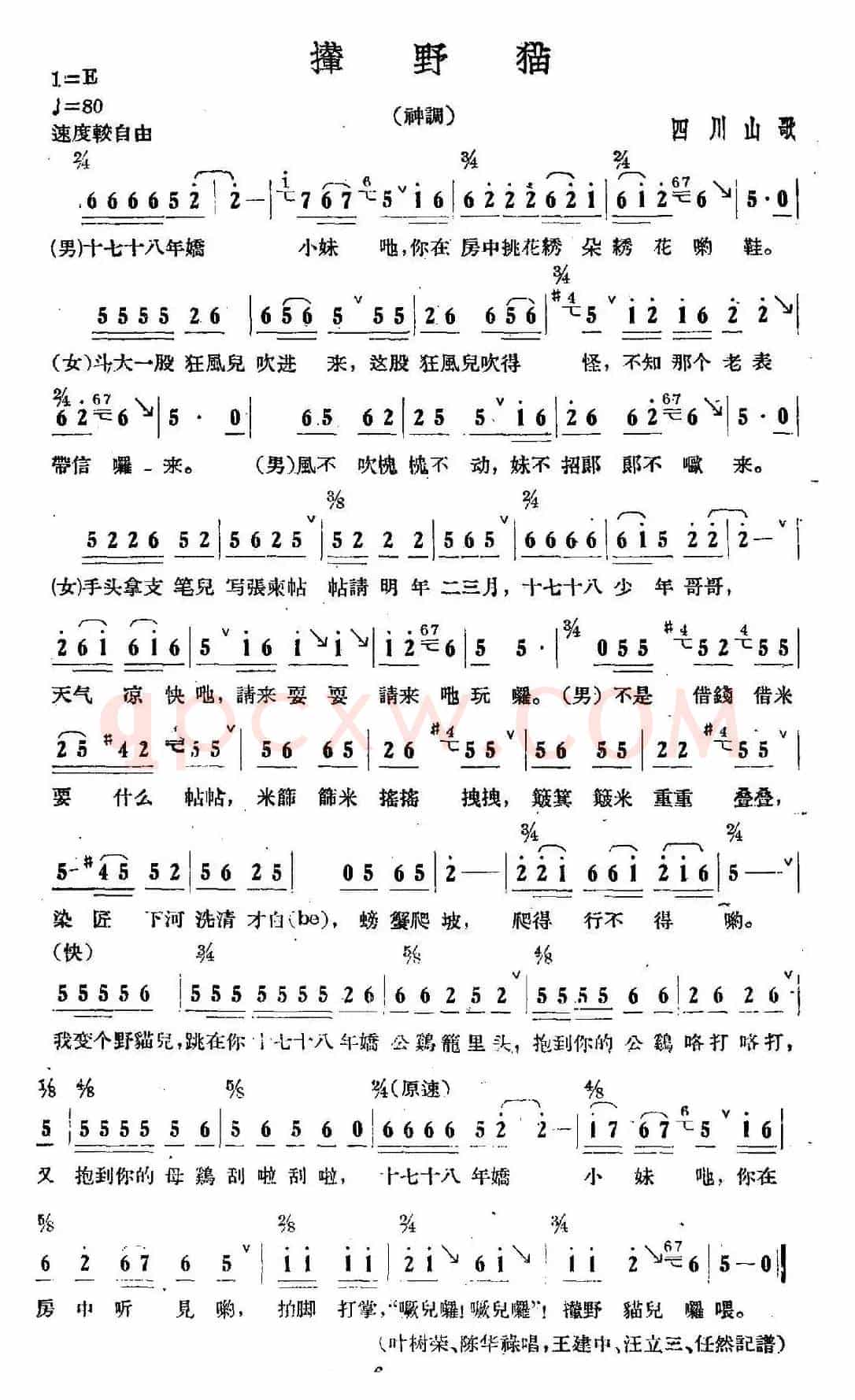 撵野猫（四川山歌）